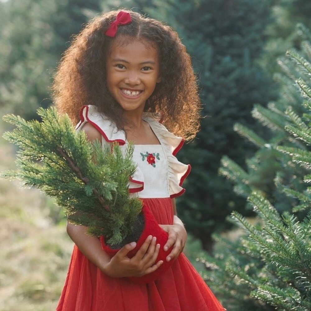 Well Dressed Wolf Poinsettia Holiday Dress Size 10 in Ribbon Red